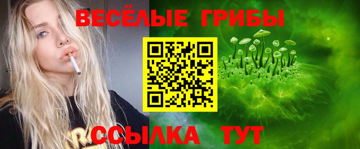Галлюциногенные грибы прущие грибы  Вход с VPN  Белореченск 